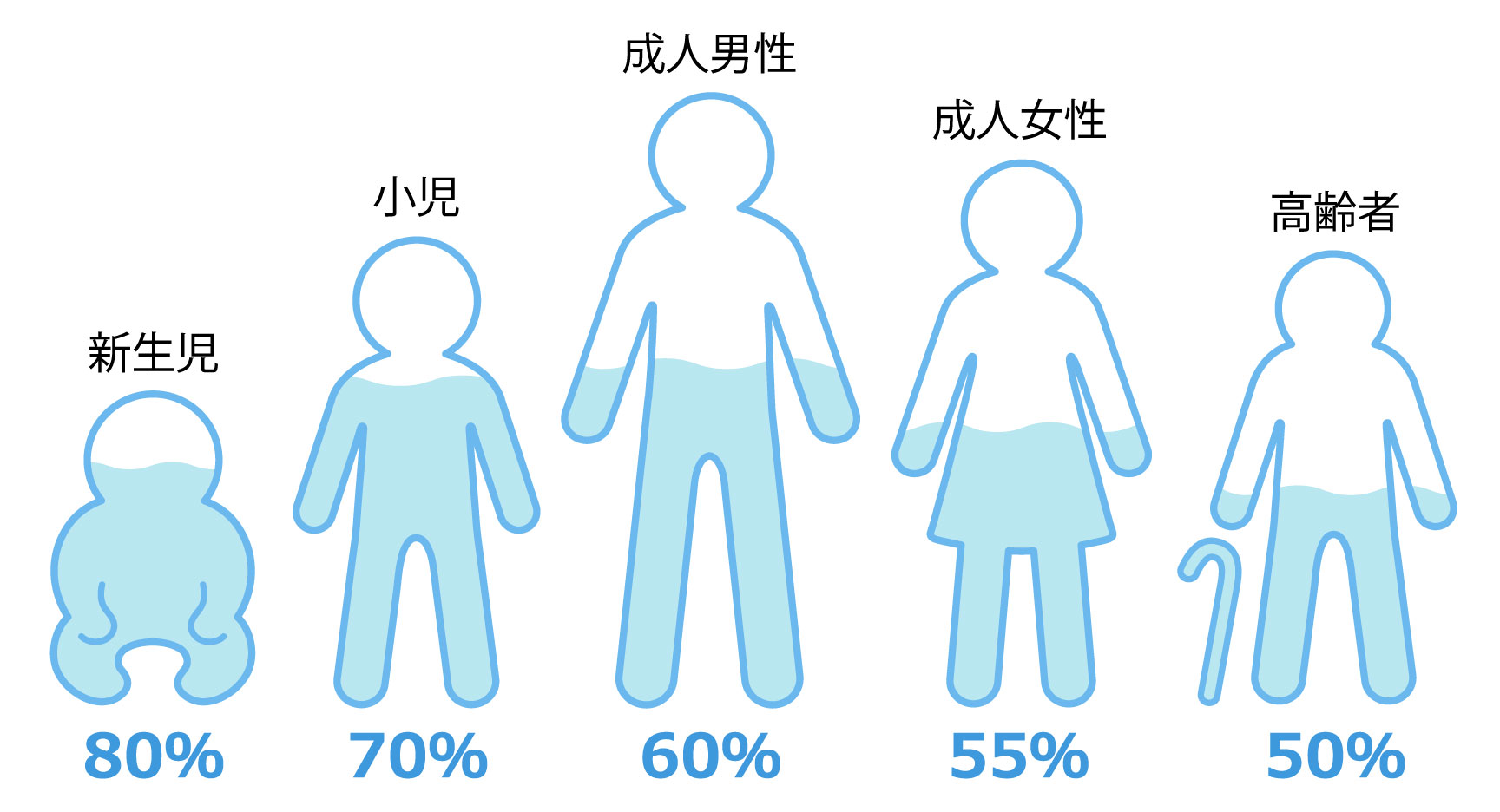 体内水分量